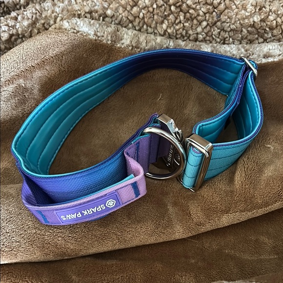 Stylish Purple and Blue Dog Collar - Picture 2 of 3